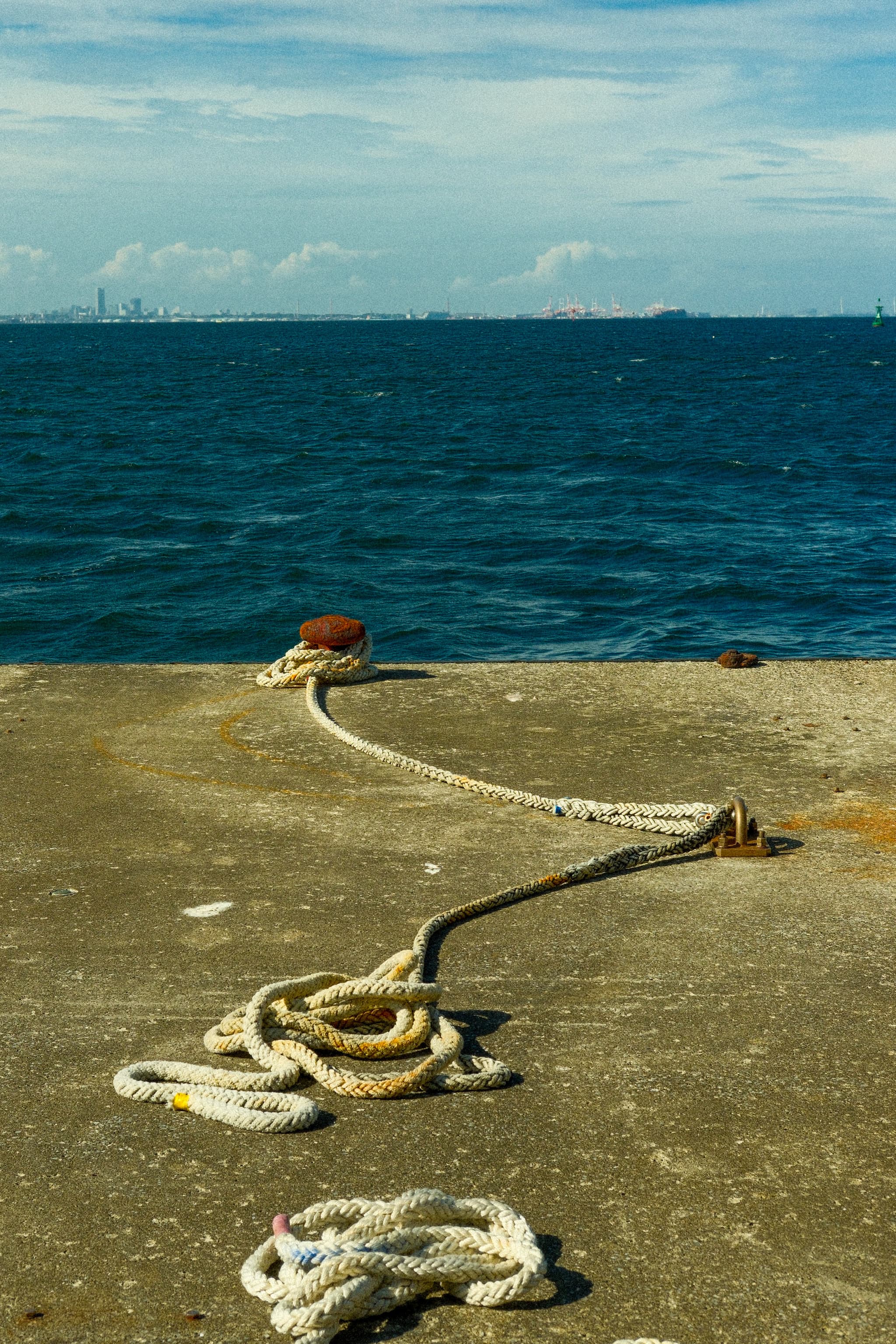 DOCK AND TOKYO BAY